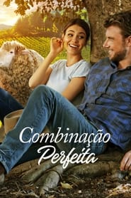 Combinação Perfeita Dublado Online 